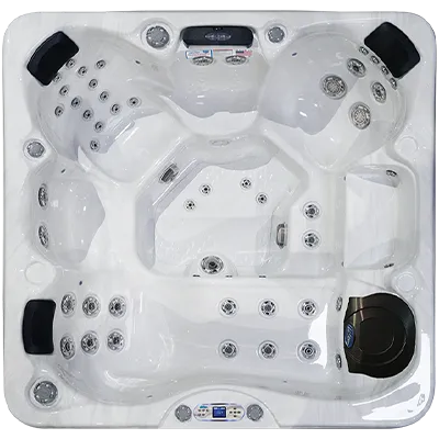 Avalon EC-849L hot tubs for sale in Conway