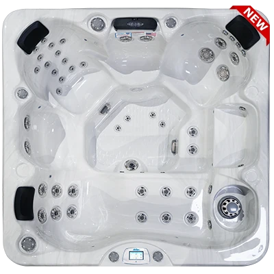 Avalon-X EC-849LX hot tubs for sale in Conway