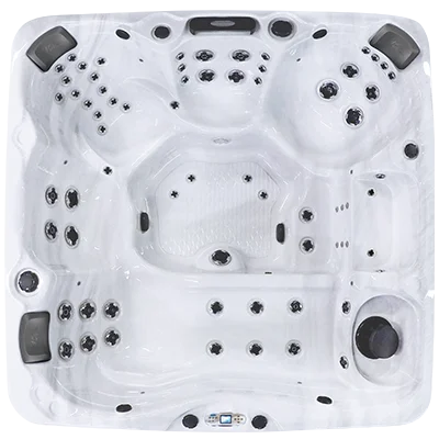 Avalon EC-867L hot tubs for sale in Conway