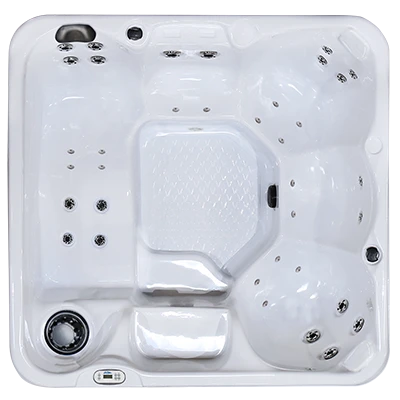 Hawaiian PZ-636L hot tubs for sale in Conway